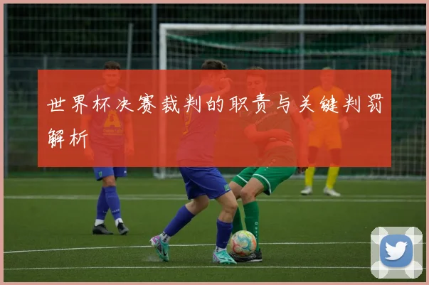 世界杯决赛裁判的职责与关键判罚解析