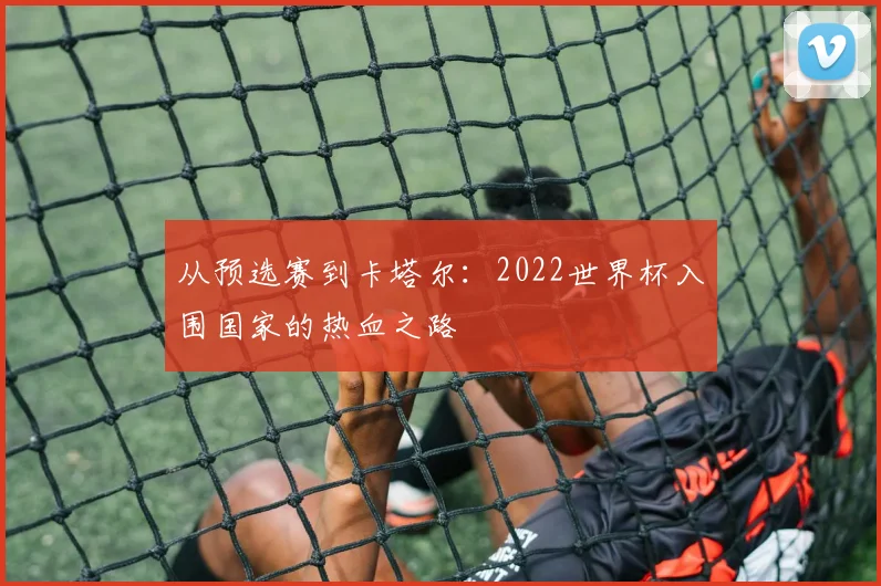 从预选赛到卡塔尔：2022世界杯入围国家的热血之路