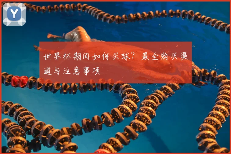 世界杯期间如何买球？最全购买渠道与注意事项