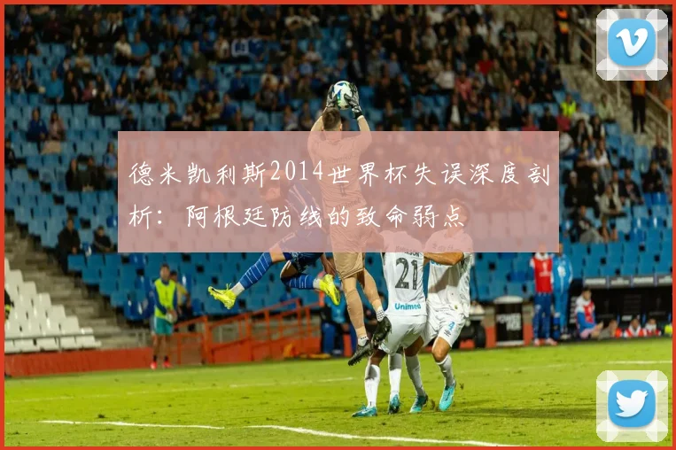 德米凯利斯2014世界杯失误深度剖析：阿根廷防线的致命弱点